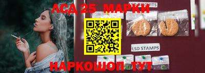 spice Чебоксары