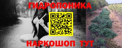 гашик Чапаевск
