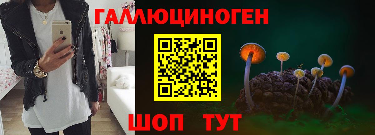 купить наркоту  Псилоцибиновые грибы мухоморы  Вход с VPN  Богородск 